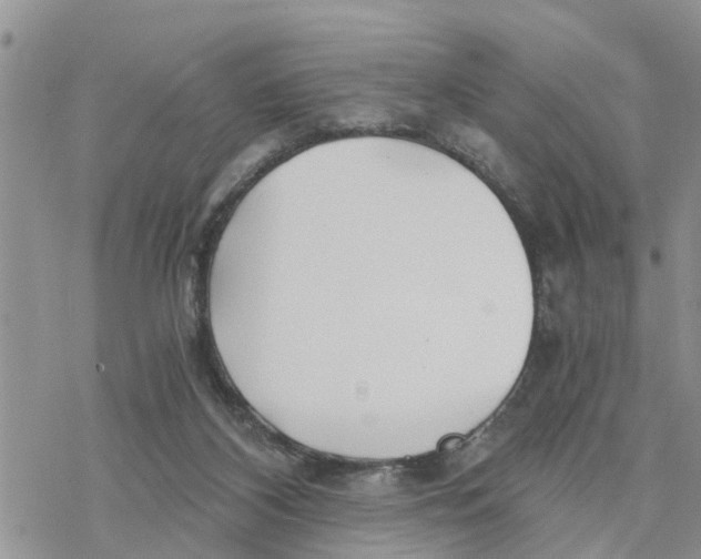 X0000078260116200611251338