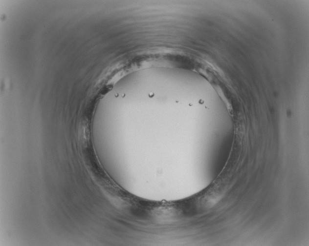 X0000078260119200611251338