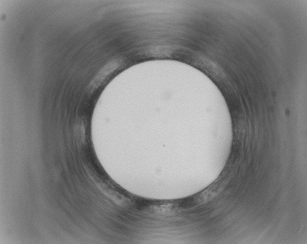 X0000078260120200611251338