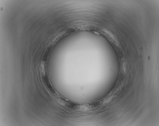 X0000078260121200611251338