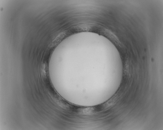 X0000078260122200611251338