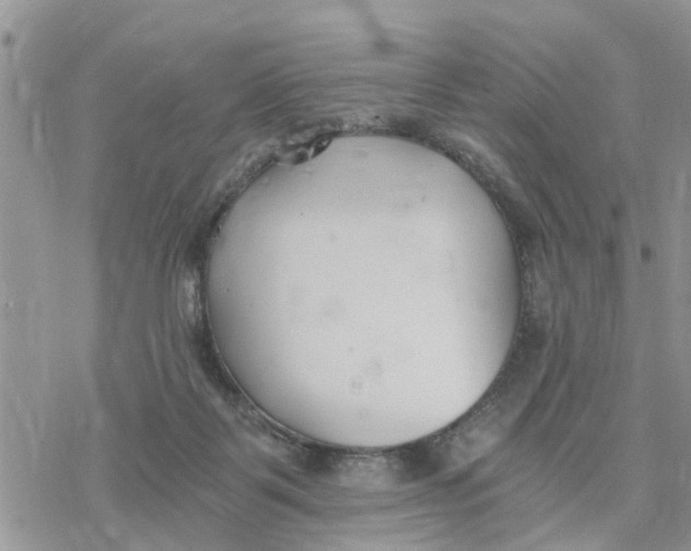 X0000078260123200611251338