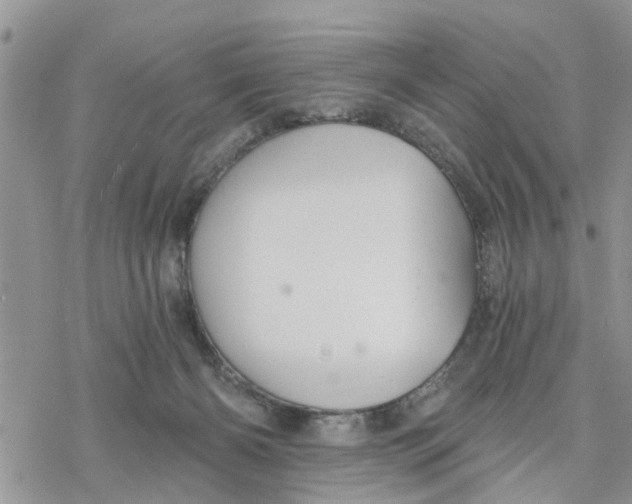 X0000078260126200611251338