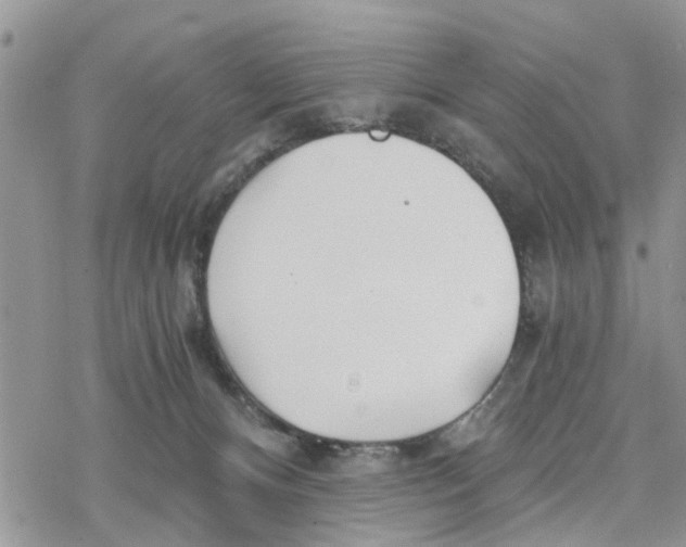 X0000078260128200611251338