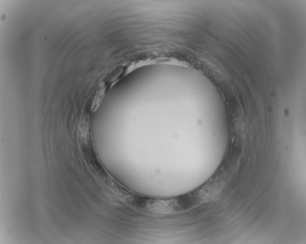 X0000078260129200611251338