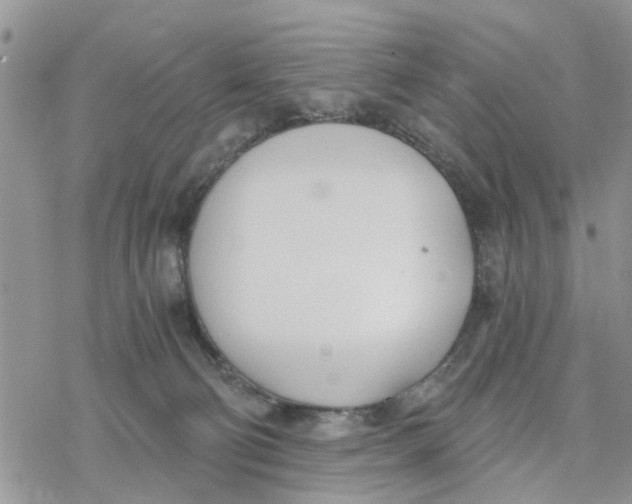 X0000078260130200611251338