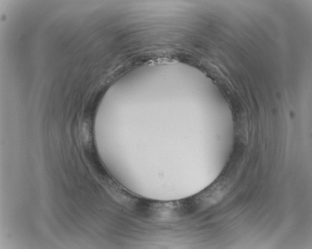 X0000078260131200611251338