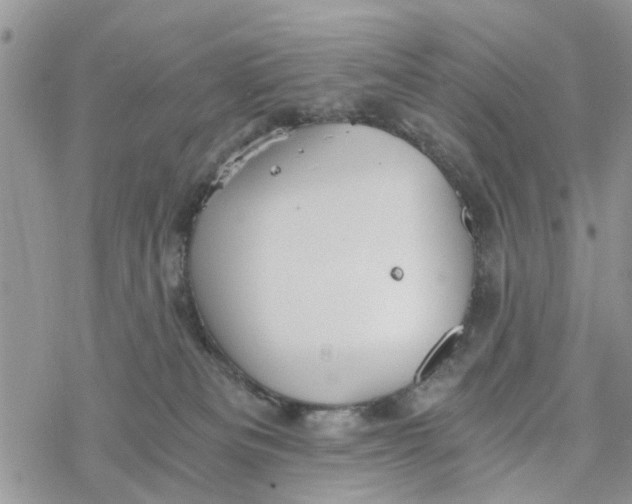 X0000078260133200611251338