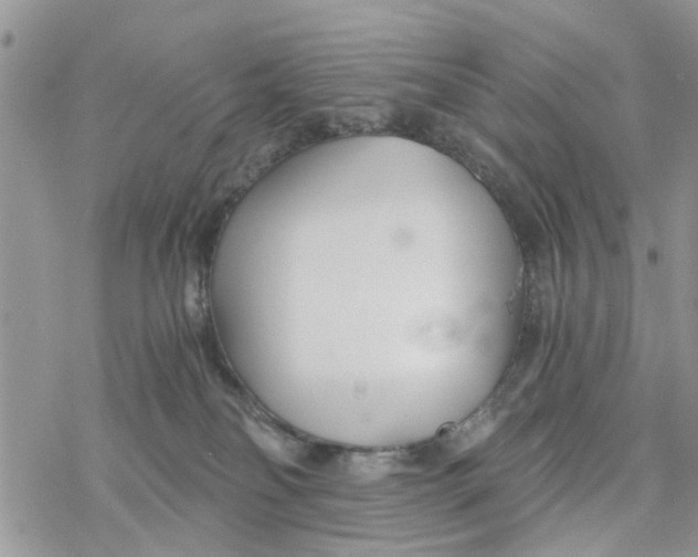 X0000078260134200611251338