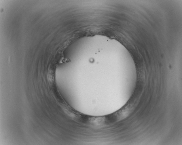 X0000078260135200611251338