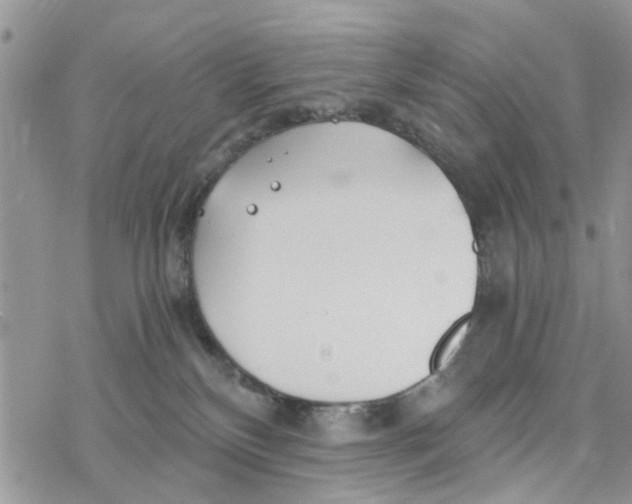 X0000078260136200611251338