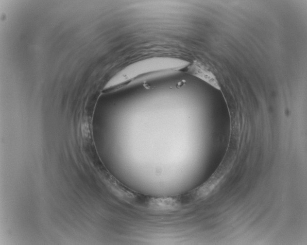 X0000078260137200611251338