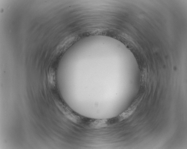 X0000078260138200611251338