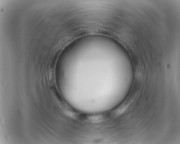 X0000078260139200611251338