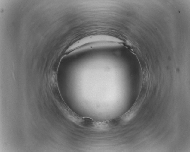 X0000078260141200611251338