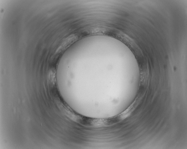 X0000078260142200611251338