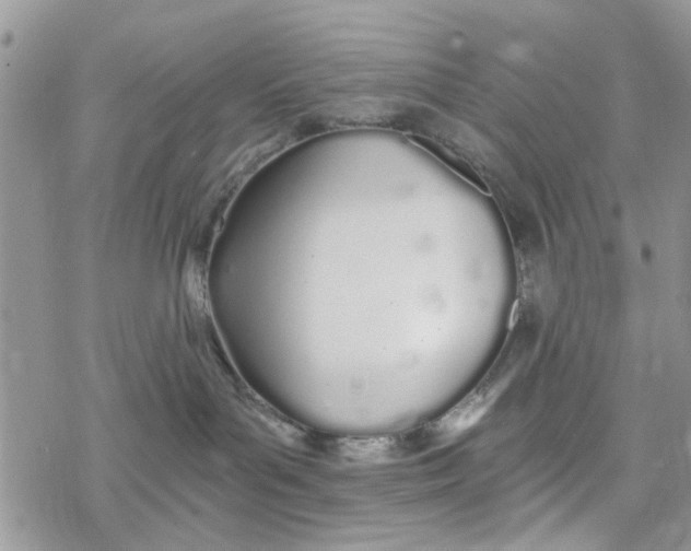 X0000078260143200611251338