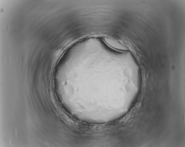 X0000078260145200611251337