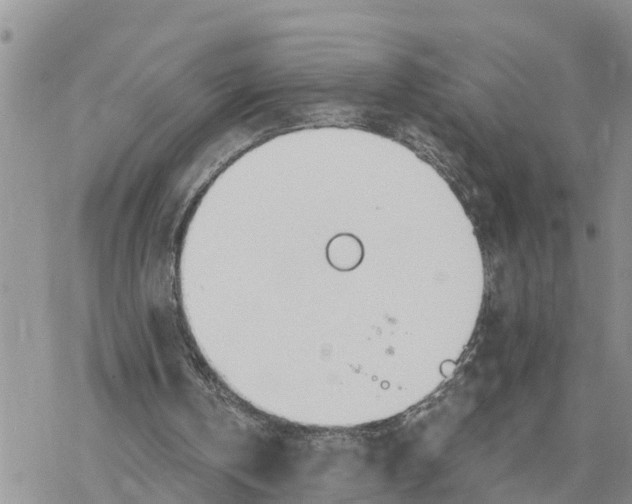 X0000078260146200611251337