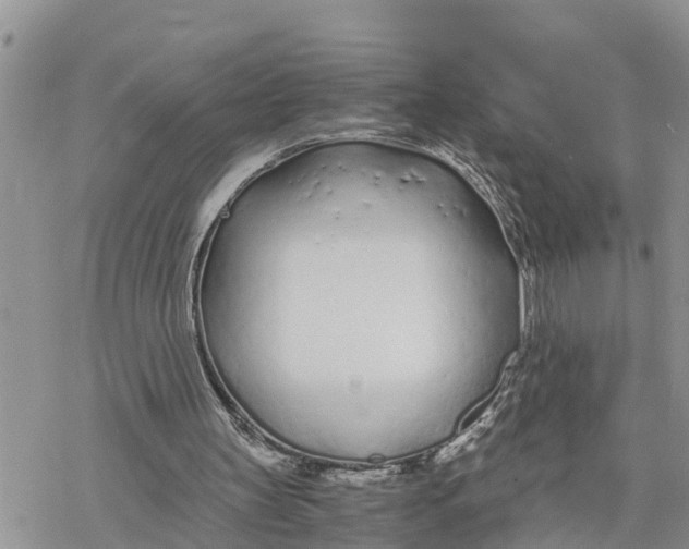 X0000078260147200611251337