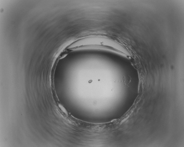 X0000078260148200611251337