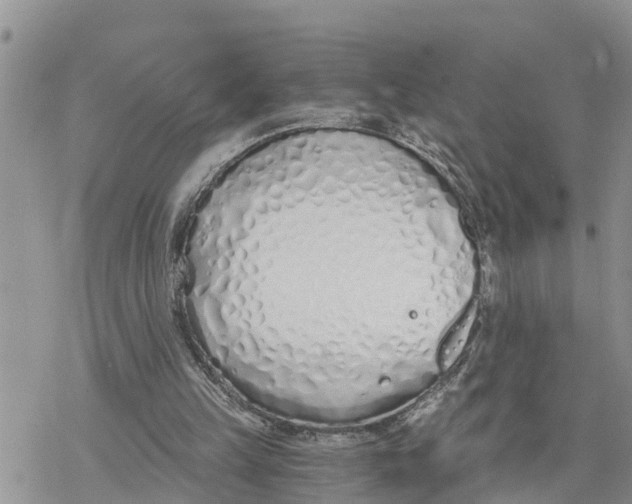 X0000078260149200611251337