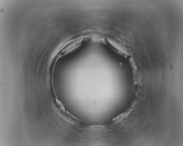 X0000078260150200611251337