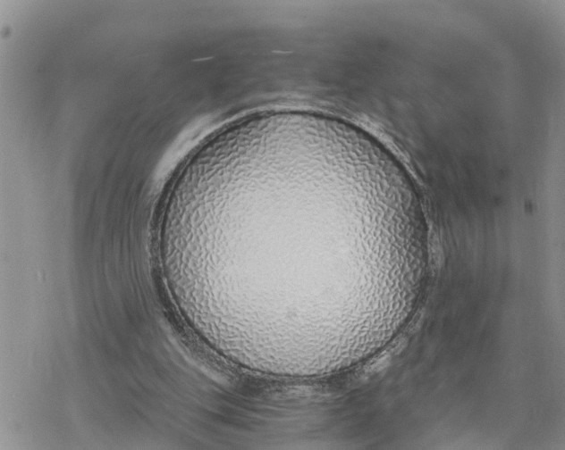 X0000078260151200611251337