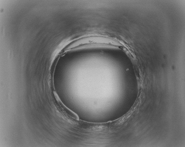 X0000078260152200611251337