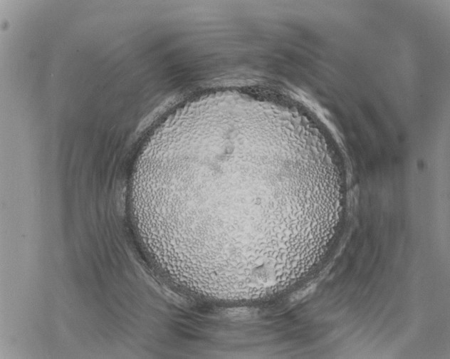 X0000078260153200611251337