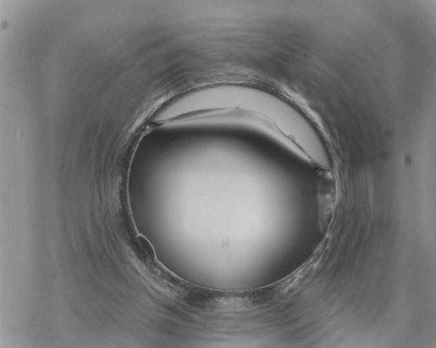 X0000078260154200611251337