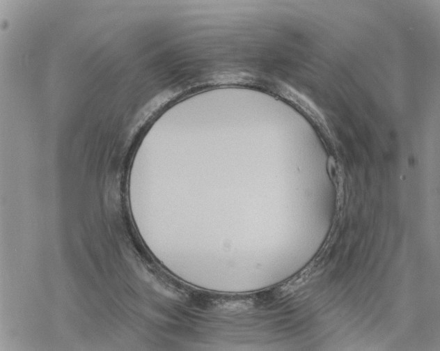 X0000078260155200611251337