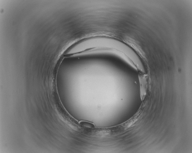 X0000078260156200611251337