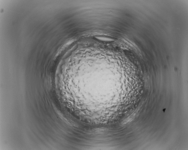 X0000078260158200611251337