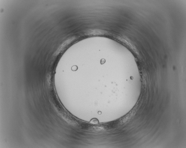 X0000078260159200611251337