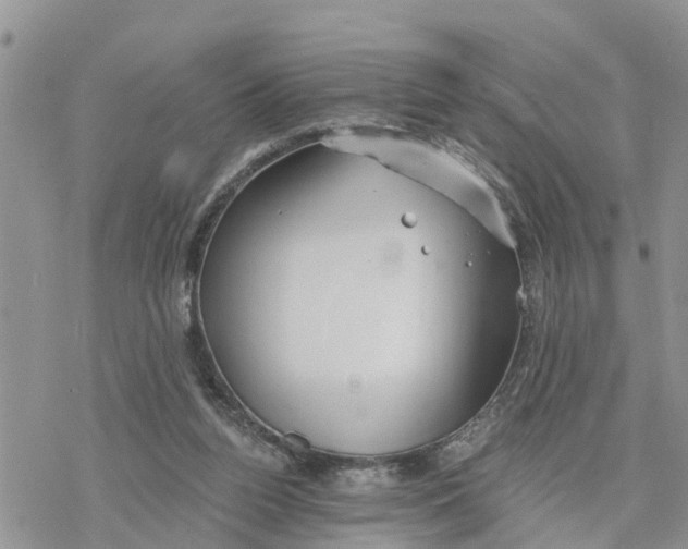 X0000078260160200611251337