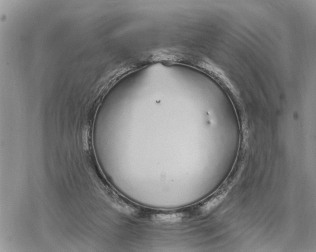 X0000078260161200611251337