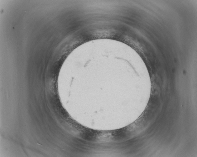 X0000078260162200611251337