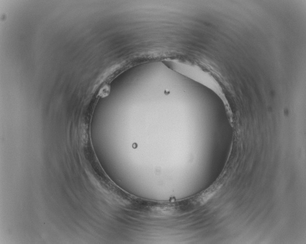 X0000078260164200611251337