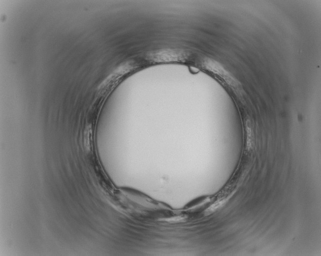 X0000078260165200611251337