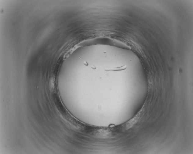 X0000078260166200611251337