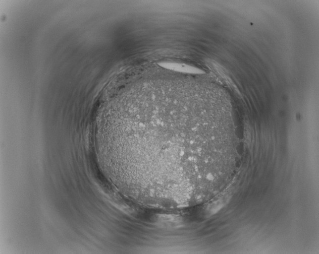 X0000078260167200611251337