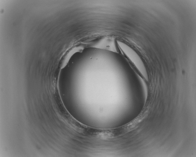 X0000078260168200611251337