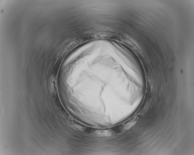 X0000078260169200611251337