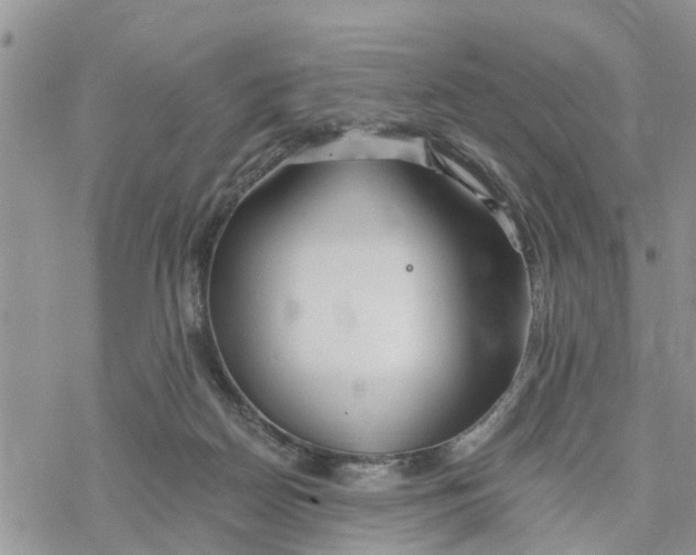 X0000078260170200611251337