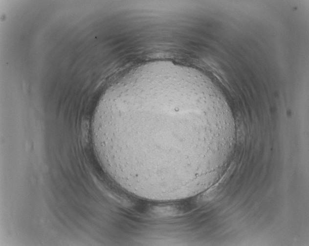 X0000078260171200611251337