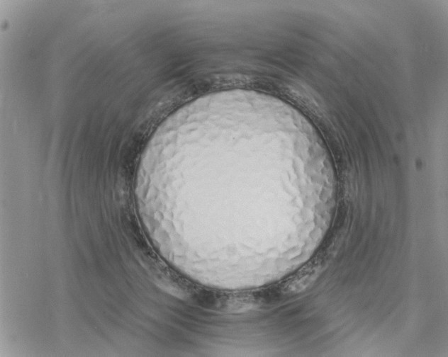 X0000078260173200611251337