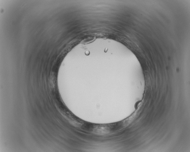 X0000078260174200611251337