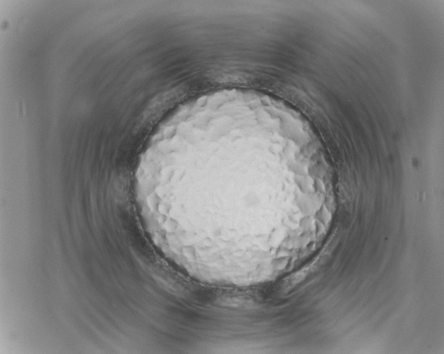 X0000078260175200611251337