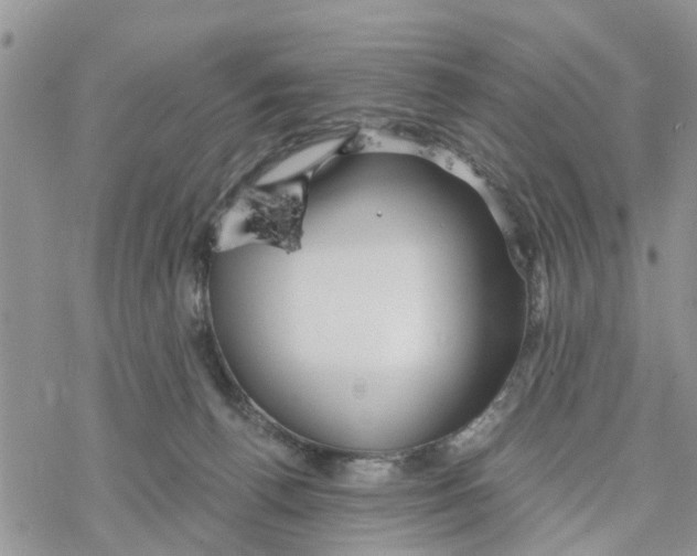 X0000078260176200611251337